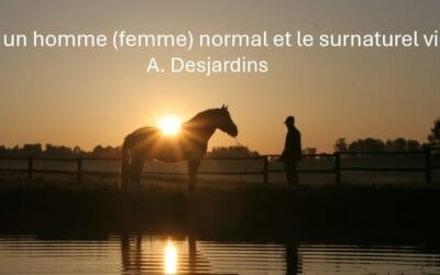 Etes-vous un cavalier adulte?