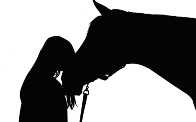 La pyramide des besoins équins