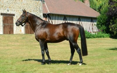 Se sentir à sa place