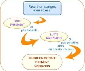 La monitrice au comportement tyrannique