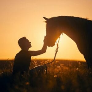 Stage nouveau départ