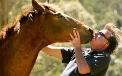 Familiarité ou confiance ?