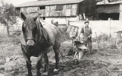 L’histoire du fermier et du cheval