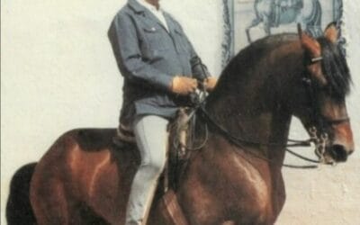 « Tu es trop gentil avec ton cheval »