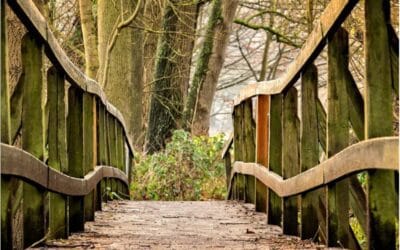 « C’est pas ma faute, c’est lui »