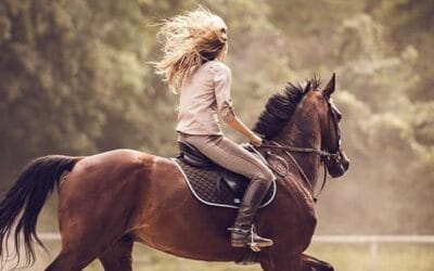 Tu es forte. Trop forte.