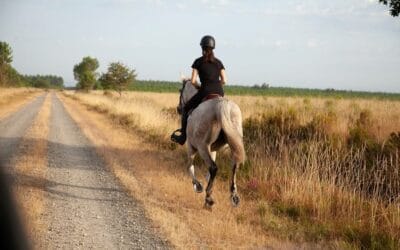 Le chemin vers une équitation et une vie plus fluide et apaisée