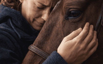 « Quand le cheval devient un “doudou” : un lien fort… qui peut fragiliser ta vie »