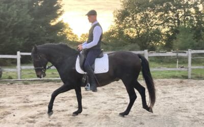 Reprendre confiance à cheval : comprendre ce qui vous bloque et retrouver du plaisir